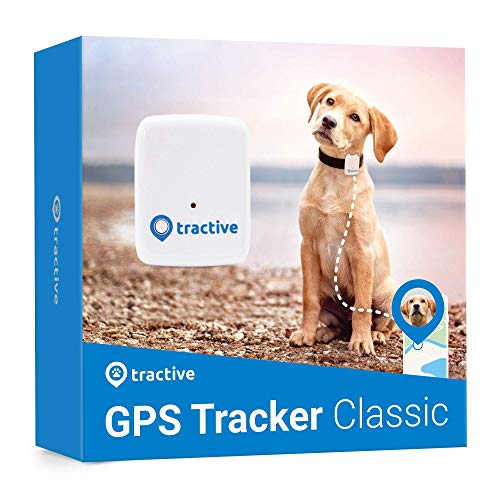 Tractive Localizador GPS para perros, rastreador con rango ilimitado, blanco