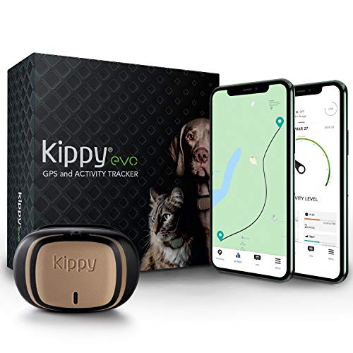 KIPPY - EVO - El Nuevo Collar GPS para Perros y Gatos - Seguimiento de Actividad, 38 gr, Waterproof,...