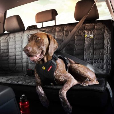 EzyDog Drive Mejor arnes de coches para perros